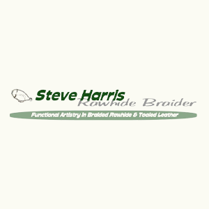 steve harris video marketing